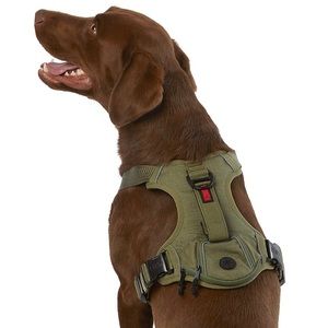 KONG Dog Harness with Waste Bag Holder